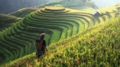 Sapa-appealing-adventure-Tour-4-days-3-nights-09