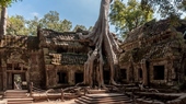 Ta Prohm Temple