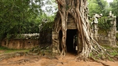 Siem Reap