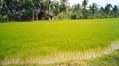 The-Mekong-Delta-Discovery-4-Days-3-Nights-09