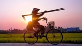 Visit-Cam-Thanh-village-and-vegetarian-village-Tra-Que-Half-day-02