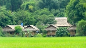 Mai Chau