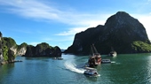 Halong