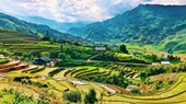 Sapa