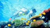 Enchanting Thailand Exploration and Beach