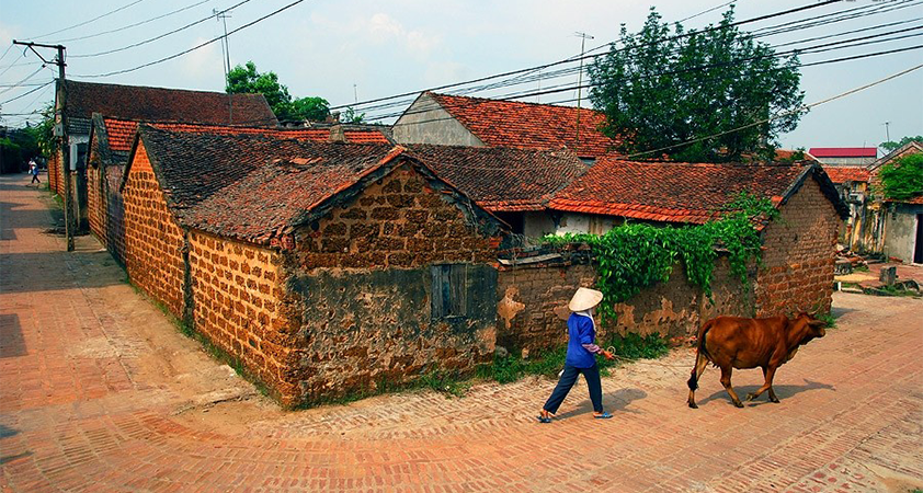duong-lam