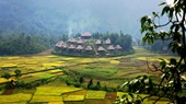 Mai Chau