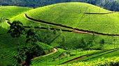 Mai Chau