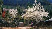 Mai Chau