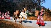 Sapa