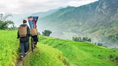 Sapa