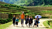 Sapa