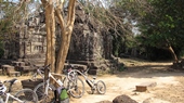 Cycling Trip