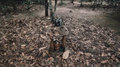 Cu Chi