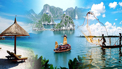 Vietnam Tours